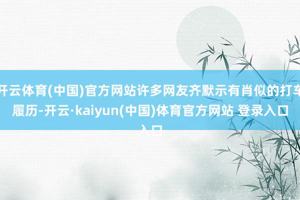 开云体育(中国)官方网站许多网友齐默示有肖似的打车履历-开云·kaiyun(中国)体育官方网站 登录入口