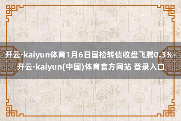 开云·kaiyun体育1月6日国检转债收盘飞腾0.3%-开云·kaiyun(中国)体育官方网站 登录入口