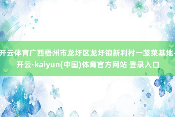 开云体育广西梧州市龙圩区龙圩镇新利村一蔬菜基地-开云·kaiyun(中国)体育官方网站 登录入口